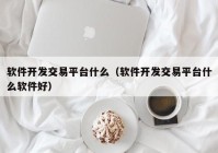 軟件開(kāi)發(fā)交易平臺什么（軟件開(kāi)發(fā)交易平臺什么軟件好）
