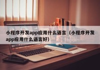 小程序開(kāi)發(fā)app應用什么語(yǔ)言（小程序開(kāi)發(fā)app應用什么語(yǔ)言好）