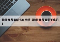 軟件開發(fā)員證書有用嗎（軟件開發(fā)員是干嘛的）