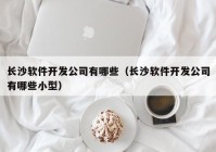 長(cháng)沙軟件開(kāi)發(fā)公司有哪些（長(cháng)沙軟件開(kāi)發(fā)公司有哪些小型）