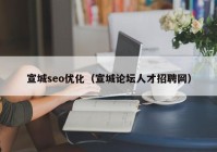 宣城seo優(yōu)化（宣城論壇人才招聘網(wǎng)）