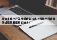 微信小程序開(kāi)發(fā)用到什么技術(shù)（微信小程序開(kāi)發(fā)過(guò)程需要運用的技術(shù)）