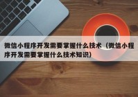 微信小程序開(kāi)發(fā)需要掌握什么技術(shù)（微信小程序開(kāi)發(fā)需要掌握什么技術(shù)知識）