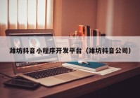濰坊抖音小程序開(kāi)發(fā)平臺（濰坊抖音公司）