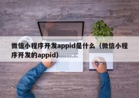 微信小程序開(kāi)發(fā)appid是什么（微信小程序開(kāi)發(fā)的appid）