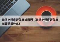 微信小程序開(kāi)發(fā)商城源碼（微信小程序開(kāi)發(fā)商城源碼是什么）