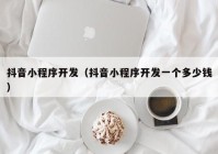 抖音小程序開(kāi)發(fā)（抖音小程序開(kāi)發(fā)一個(gè)多少錢(qián)）
