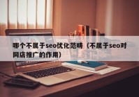 哪個(gè)不屬于seo優(yōu)化范疇（不屬于seo對網(wǎng)店推廣的作用）