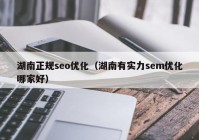 湖南正規seo優(yōu)化（湖南有實(shí)力sem優(yōu)化哪家好）