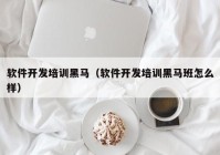 軟件開(kāi)發(fā)培訓黑馬（軟件開(kāi)發(fā)培訓黑馬班怎么樣）